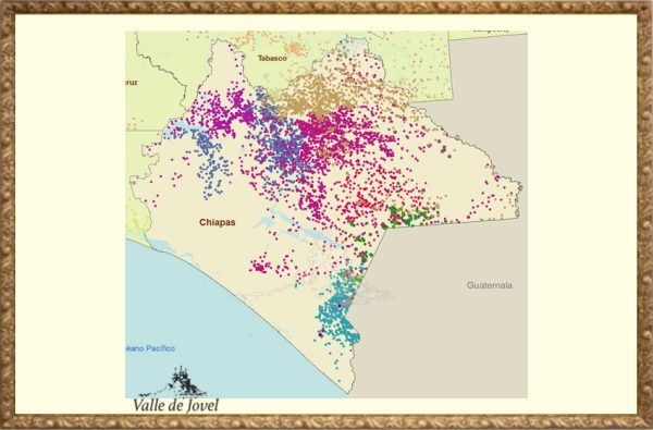 Mapa de Los Diferentes Idiomas que se hablan en Chiapas.